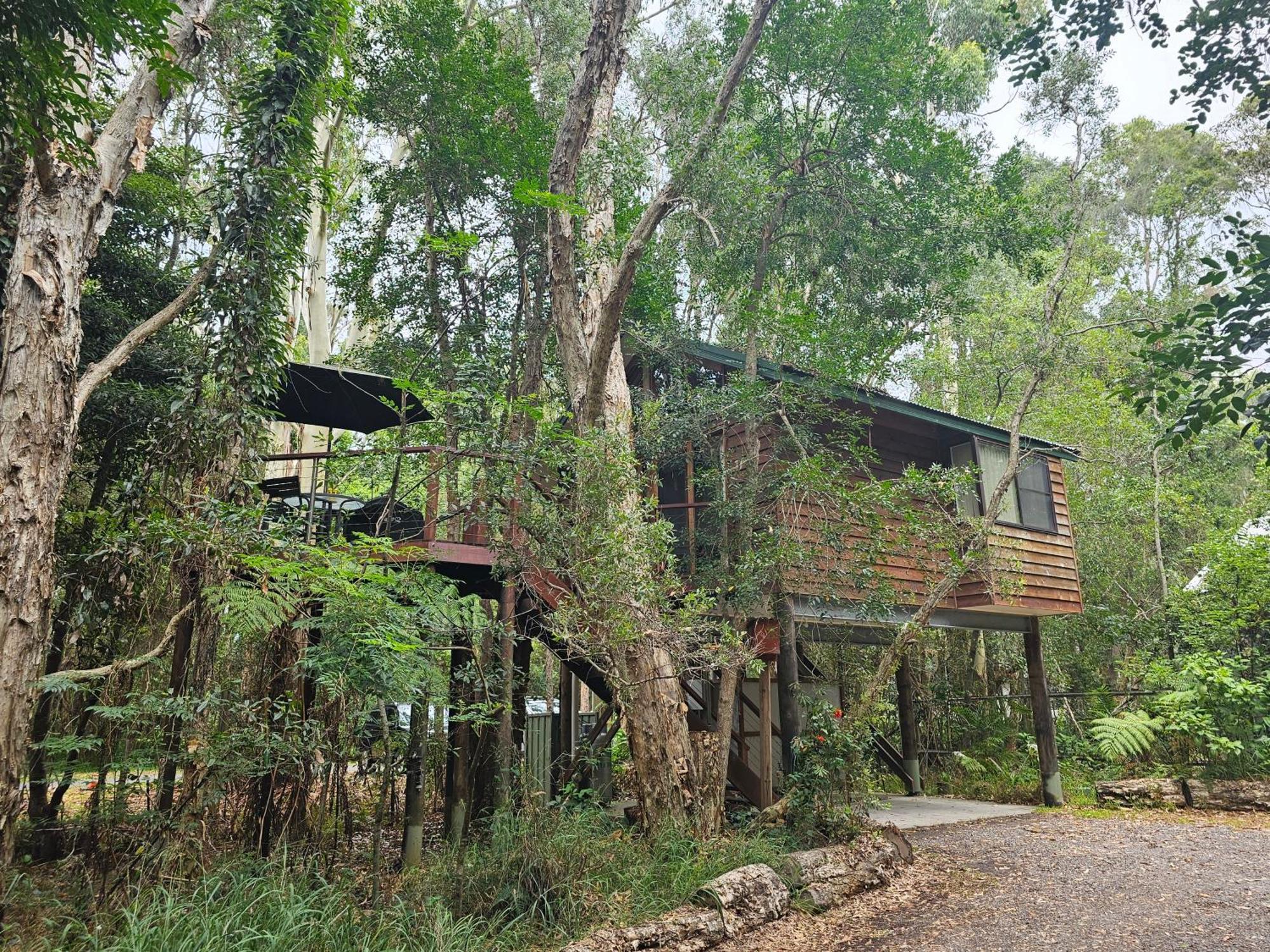 Wanderers Retreat Ξενοδοχείο Nelson Bay Εξωτερικό φωτογραφία