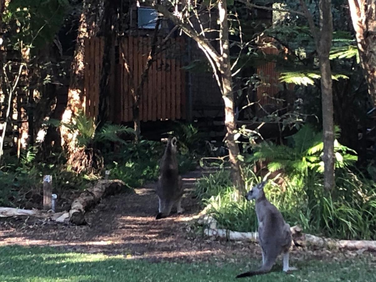 Wanderers Retreat Ξενοδοχείο Nelson Bay Εξωτερικό φωτογραφία